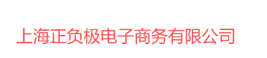 上海正负极电子商务有限公司